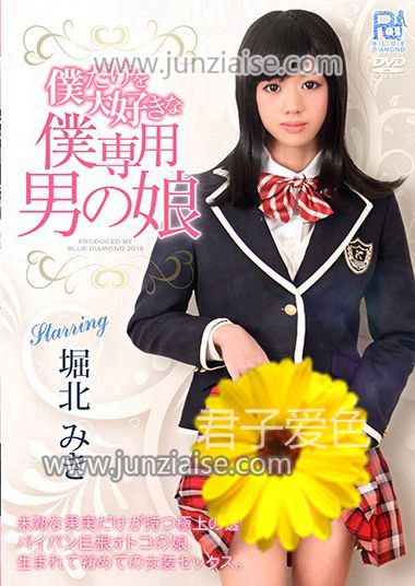 PRB-033 堀北美纪