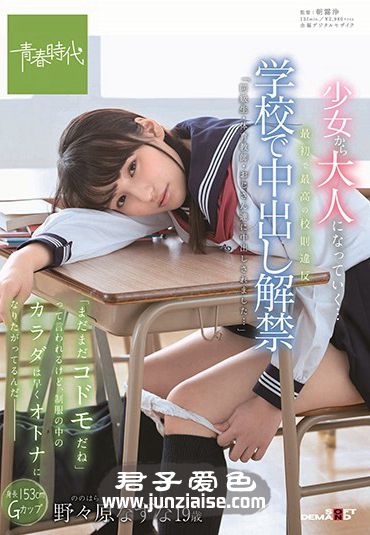 SDAB-079 野々原荠