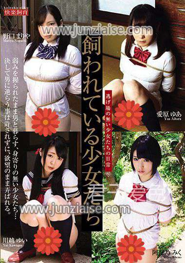 STD-031 