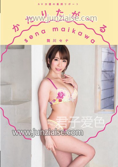VGD-178 舞川芹