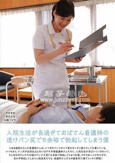 UMD-733 ,葵百合香,