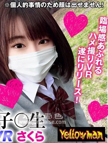 YPY-003 