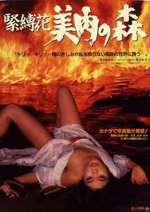 高原香都子,青木祐子NKT-622ed2k磁力链接迅雷下载地址在线观看