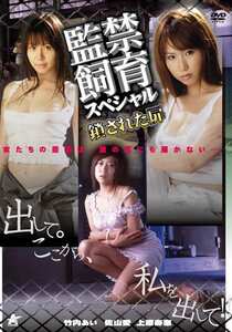 麻木涼子,乙音奈々,浅田なつき,正田美里,今野梨乃,黒沢英里奈（喜田嶋りお）,星野あかり,上原寿恵,佐山愛DJM-039ed2k磁力链接迅雷下载地址在线观看