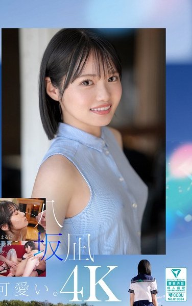 八坂凪MIDA-251ed2k磁力链接迅雷下载地址在线观看