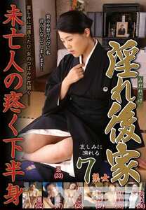 VNDS-2633 