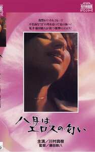 川村真樹,片桐夕子NKT-245ed2k磁力链接迅雷下载地址在线观看