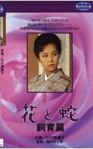 小川美那子,矢生有里,舵川まり子NKT-038ed2k磁力链接迅雷下载地址在线观看