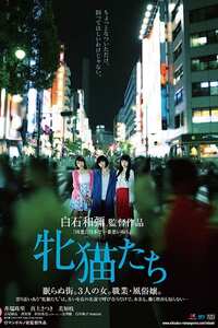 井端珠里,真上さつき,美知枝,白川和子,山咲美花ROMANP-009ed2k磁力链接迅雷下载地址在线观看