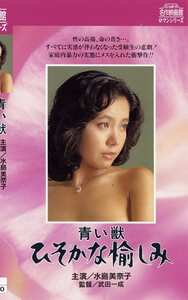NKT-228 水島美奈子,秋野美弥子,稲川順子