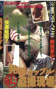 林由美香,井上あんり,橋本杏子,扇マヤ,梶原恭子SCB-035ed2k磁力链接迅雷下载地址在线观看