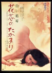 山科ゆり,青山美沙,吉野あい,くるみ夏子,芹明香NKT-554ed2k磁力链接迅雷下载地址在线观看