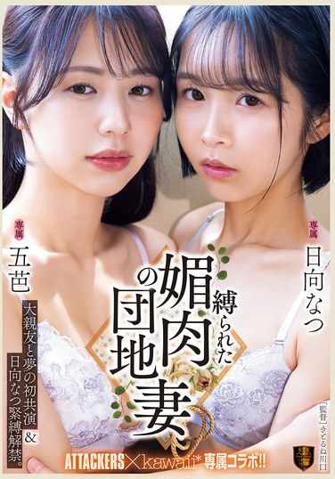 五芭SSPD-176ed2k磁力链接迅雷下载地址在线观看