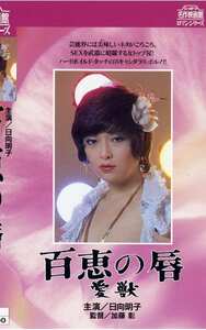 日向明子,村川めぐみ,泉じゅん,早川由美NKT-236ed2k磁力链接迅雷下载地址在线观看
