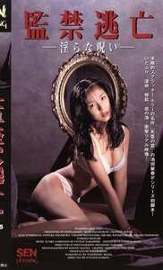 愛禾みさ,K（ケイ）,岸加奈子,真弓倫子KF-5545ed2k磁力链接迅雷下载地址在线观看