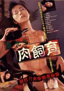 小川美那子,中川みず穂,大滝那津子,伊東あつ子NKT-513ed2k磁力链接迅雷下载地址在线观看