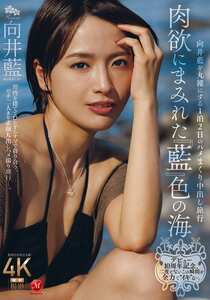 向井藍JUR-585ed2k磁力链接迅雷下载地址在线观看