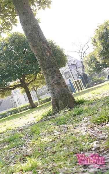 VINVIN-057ed2k磁力链接迅雷下载地址在线观看