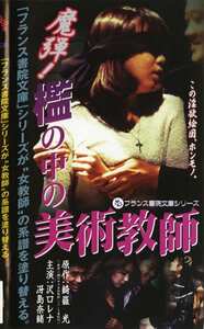 沢口レナ,植田ゆら,冴島奈緒PINK-025ed2k磁力链接迅雷下载地址在线观看