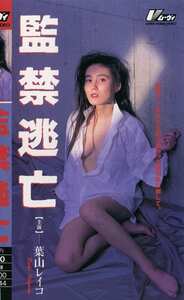 葉山レイコ,松居千佳KF-5300ed2k磁力链接迅雷下载地址在线观看