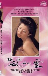 碧川ジュン,山科ゆり,宮下順子NKT-226ed2k磁力链接迅雷下载地址在线观看