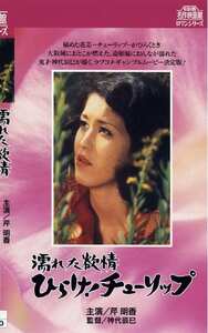 NKT-287 芹明香,谷ナオミ,二條朱美,松井康子,石井まさみ