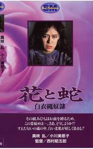 NKT-023 真咲乱,小川美那子,江崎和代