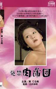 東てる美,ひろみ麻耶,岡本麗,二條朱美,桂たまき,芹明香,五十嵐ひろみNKT-183ed2k磁力链接迅雷下载地址在线观看
